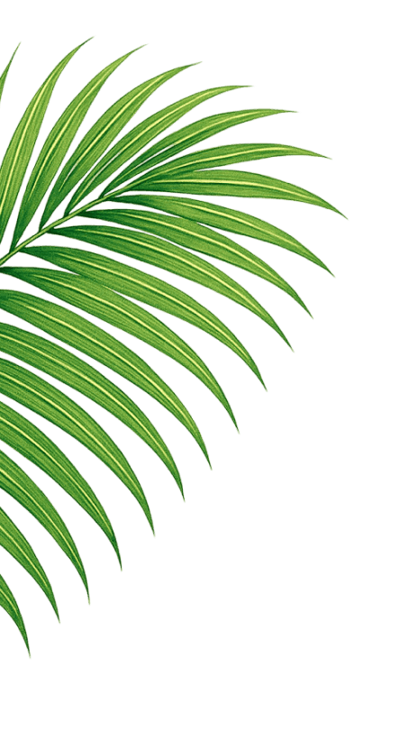 Decorative leaf illustration