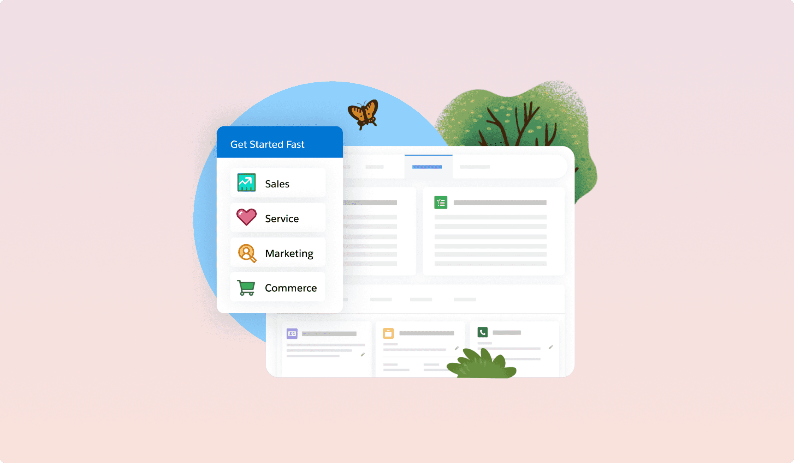 Salesforce platform showcase
